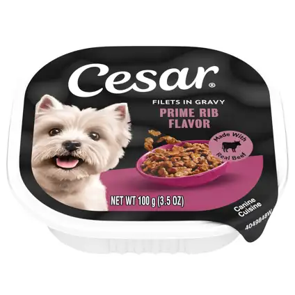 natural balance salmon and sweet potato dog food Natural Balance Salmon Small Breed Dog Food