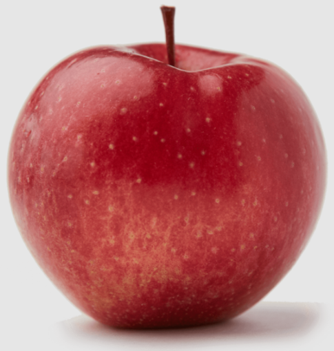 Shopping Lists – Magnolia - #48 – Apple, Wild Twist