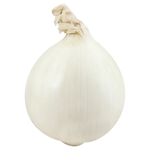 Cebolla, Blanca / Onion, White