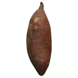 Camote / Yam