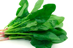 Espinaca / Spinach