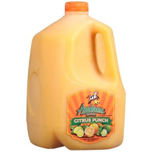 Anderson Dairy Citrus Punch Drink 1 gallon