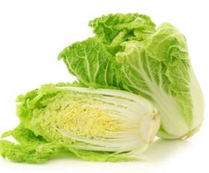 Cabbage Nappa / Repollo Nappa