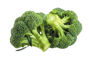 Brocoli / Broccoli