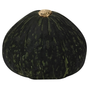 Calabaza, Cabocha / Squash, Kabocha