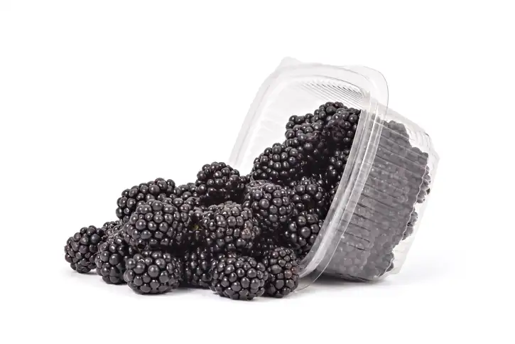 Blackberry Puree Mix - 1 lt Ships Within 2 Business Days