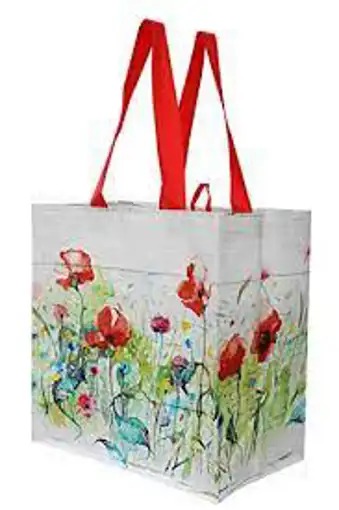 Earthwise Reusable Grocery Bag Shopping Tote, Set of