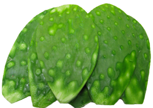 Nopal Pelado En Bolsa