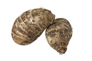 Malanga