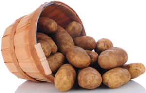 Potato, Idaho Russet, 10lb