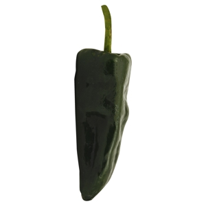 Chile, Pasilla / Pepper, Pasilla