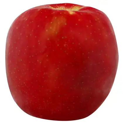 Welcome – Mac's Market – Celsius Sparkling Fuji Apple Pear Energy