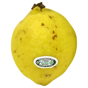 Guayaba / Guava