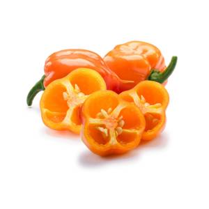 Chile Habanero / Habanero Peppers