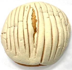 Concha Blanca Grande