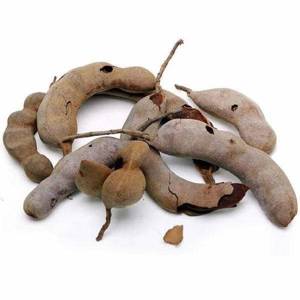 Tamarindo /Tamarind