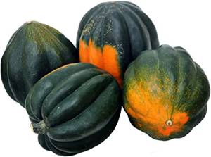 Squash, Acorn