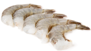 Camaron Blanco / White Shrimp 21-25CT