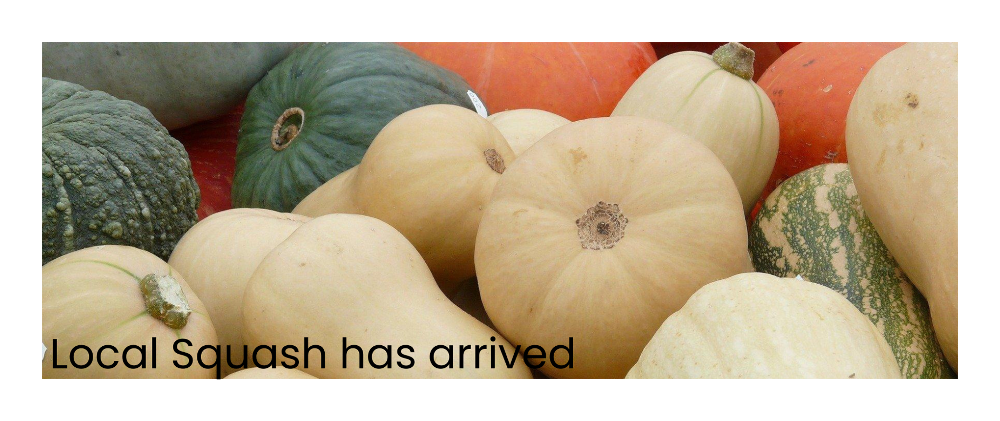 Welcome – Main Street Market – Muir Glen Organic Whole Peeled