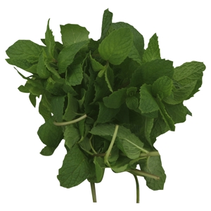 Yerba Buena / Mint