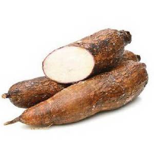 Yuca / Yucca Root