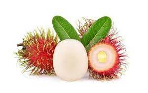 Rambutan Fruit