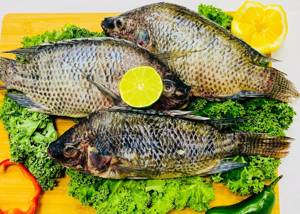Tilapia Entera / Whole Tilapia