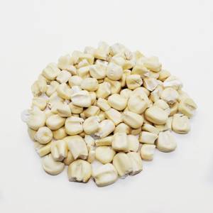 Maiz Blanco /Corn White