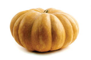Squash / Calabaza Castilla