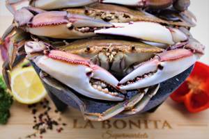 Jaiba Azul /Blue Crab