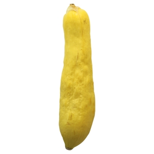 Calabaza, Amarilla / Squash, Yellow