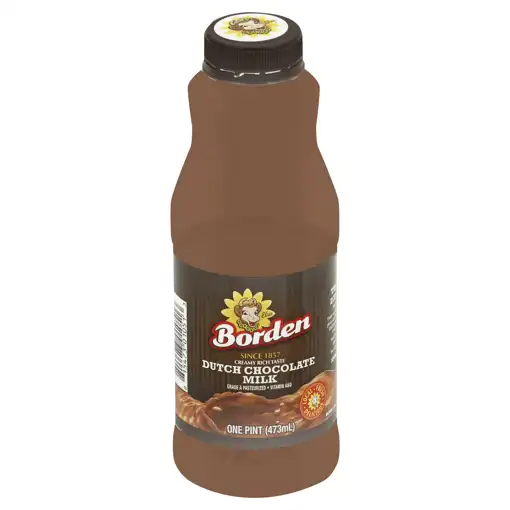 Borden Milk, Dutch Chocolate, One Pint (473 Ml) | Food Depot