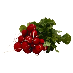 Rabano, Manojo / Radish, Bunch