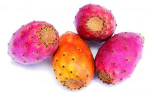 Xoconostle