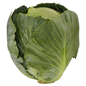 Repollo, Verde / Cabbage, Green