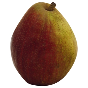 Pear, Red D'Anjou