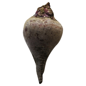 Betabel / Beet, Loose