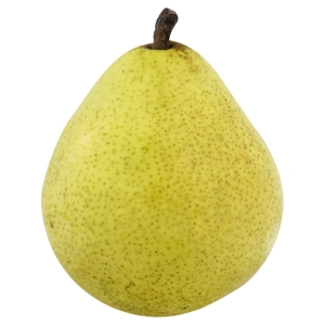 Pera / Pear, D'Anjou