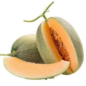 Melon, Hami