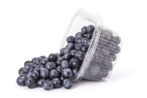 Arandanos / Blueberries