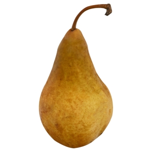 Pera, Bosco / Pear, Bosc
