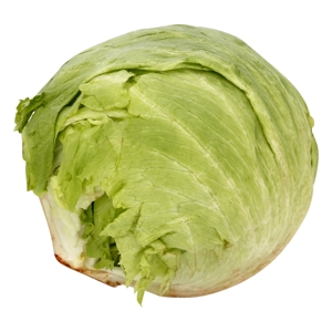 Lechuga / Lettuce, Iceberg
