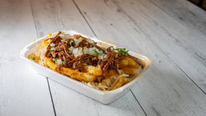 Birria Fries