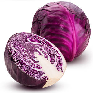 Cabbage Red / Repollo Morado