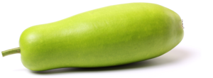 Squash / Calabaza Opo