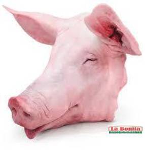 Cabeza De Puerco / Pig Head