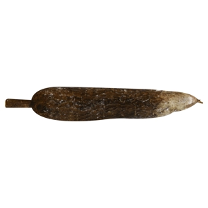 Yuca Root / Cassava