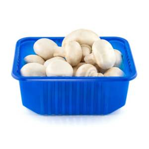 Hongo Basket / Mushroom