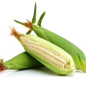 Corn White / Elote Blanco
