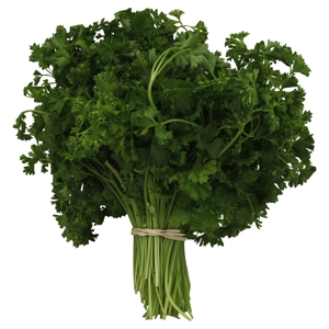 Perejil, Chino / Parsley, Curly